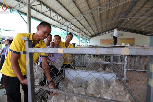 ภาพ No.127460:V.31 ทุ่มเทเพื่อบางกล่ำ การเตรียมงานของเจ้าหน้าที่หน่วยงานต่างๆ  เพื่องานธรรมยาตราอัญเชิญพระบรมสารีริกธาตุ ประดิษฐาน ณ มหารัตนเจดีย์สิริปทุมสวรรค์ (เจดีย์อริยพุทธะ 5 พระองค์) ณ ศูนย์ปฏิบัติธรรมภาคใต้ อ.บางกล่ำ จ.สงขลา ระหว่างวันที่ 9-10 มีนาคม พ.ศ. 2567