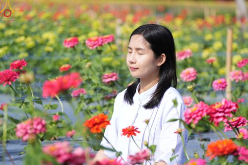 ภาพ No.104342:บรรยากาศ ทุ่งดอกทรัพย์บานชื่น ณ สวนพนาวัฒน์ อ.ฮอด จ.เชียงใหม่ ช่วงระหว่างวันที่ 20 - 25 ธันวาคม พ.ศ. 2566