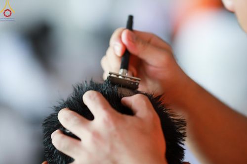 ภาพ No.140269:พิธีตัดปอยผมและปลงผม โครงการอุปสมบทหมู่ธรรมทายาท ระดับอุดมศึกษา รุ่นที่ 51 ภาคฤดูฝน วันเสาร์ที่ 8 มิถุนายน พ.ศ.2567 ณ มหารัตนวิหารคด 9 วัดพระธรรมกาย