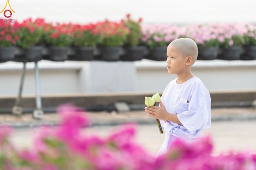 ภาพ No.133727:พิธีเวียนประทักษิณและพิธีวันทาเจดีย์ โครงการบรรพชาสามเณร ฟื้นฟูพระพุทธศาสนาทั่วไทย ณ วัดพระธรรมกาย วันเสาร์ที่ 6 เมษายน พ.ศ. 2567