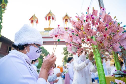 ภาพ No.73526:พิธีตักบาตรพระธรรมยาตราฯ ในโครงการธรรมยาตรากตัญญูบูชา มหาปูชนียาจารย์ พระมงคลเทพมุนี(สด จนฺทสโร) พระผู้ปราบมาร ปีที่ 11 ณ อนุสรณ์สถานลำดับที่ 4 สถานที่เกิดด้วยกายธรรม วัดโบสถ์ (บน) บางคูเวียง อ.บางกรวย จ.นนทบุรี วันที่ 22 มกราคม พ.ศ. 2566