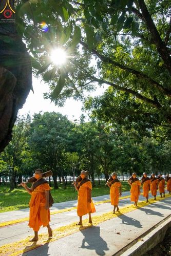 ภาพ No.41509:ประมวลภาพธรรมยาตรา ปีที่ 10  ประจำวันที่ 2 มกราคม พ.ศ. 2565 ชุดที่ 2