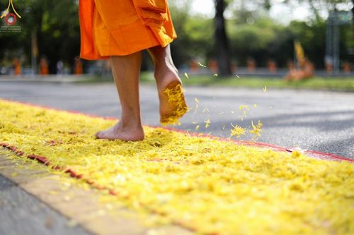 ภาพ No.41515:ประมวลภาพธรรมยาตรา ปีที่ 10  ประจำวันที่ 2 มกราคม พ.ศ. 2565 ชุดที่ 2