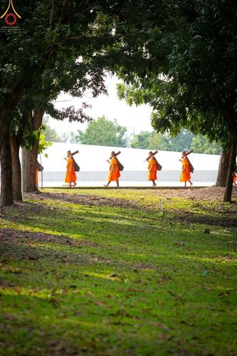 ภาพ No.41522:ประมวลภาพธรรมยาตรา ปีที่ 10  ประจำวันที่ 2 มกราคม พ.ศ. 2565 ชุดที่ 2