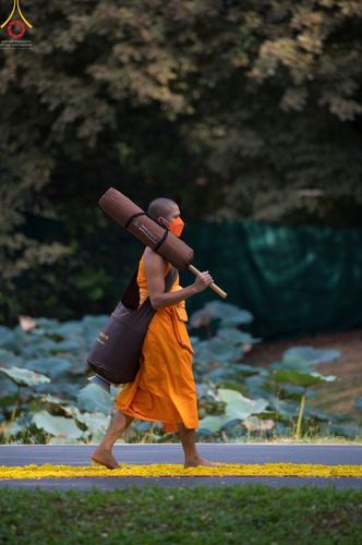 ภาพ No.41524:ประมวลภาพธรรมยาตรา ปีที่ 10  ประจำวันที่ 2 มกราคม พ.ศ. 2565 ชุดที่ 2