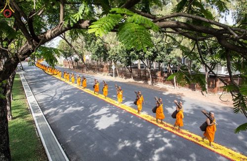 ภาพ No.41534:ประมวลภาพธรรมยาตรา ปีที่ 10  ประจำวันที่ 2 มกราคม พ.ศ. 2565 ชุดที่ 2