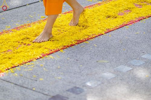 ภาพ No.41545:ประมวลภาพธรรมยาตรา ปีที่ 10  ประจำวันที่ 2 มกราคม พ.ศ. 2565 ชุดที่ 2