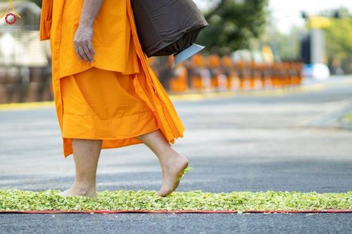 ภาพ No.41564:ประมวลภาพธรรมยาตรา ปีที่ 10  ประจำวันที่ 2 มกราคม พ.ศ. 2565 ชุดที่ 2