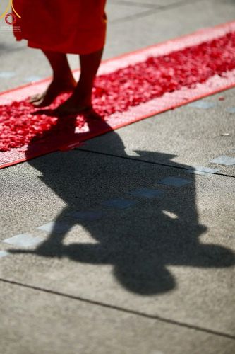 ภาพ No.41573:ประมวลภาพธรรมยาตรา ปีที่ 10  ประจำวันที่ 2 มกราคม พ.ศ. 2565 ชุดที่ 2