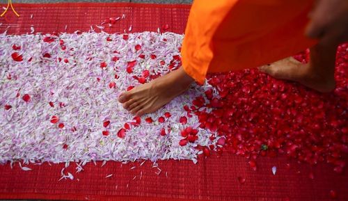 ภาพ No.41572:ประมวลภาพธรรมยาตรา ปีที่ 10  ประจำวันที่ 2 มกราคม พ.ศ. 2565 ชุดที่ 2