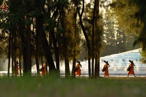 ภาพ No.41594:ประมวลภาพธรรมยาตรา ปีที่ 10  ประจำวันที่ 2 มกราคม พ.ศ. 2565 ชุดที่ 2