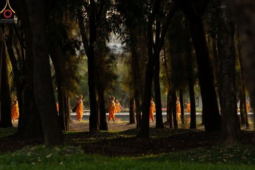 ภาพ No.41597:ประมวลภาพธรรมยาตรา ปีที่ 10  ประจำวันที่ 2 มกราคม พ.ศ. 2565 ชุดที่ 2