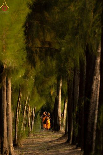 ภาพ No.41596:ประมวลภาพธรรมยาตรา ปีที่ 10  ประจำวันที่ 2 มกราคม พ.ศ. 2565 ชุดที่ 2