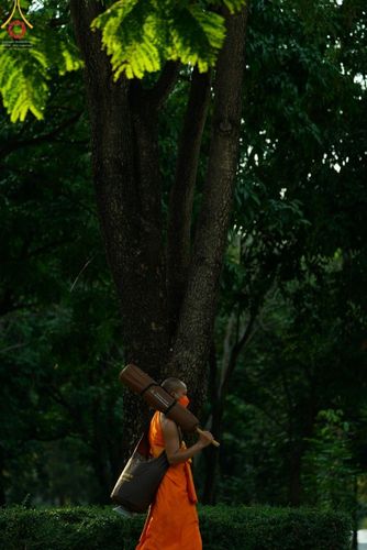 ภาพ No.41615:ประมวลภาพธรรมยาตรา ปีที่ 10  ประจำวันที่ 2 มกราคม พ.ศ. 2565 ชุดที่ 2