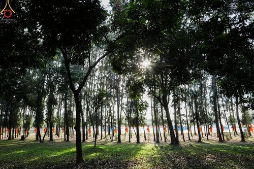 ภาพ No.41628:ประมวลภาพธรรมยาตรา ปีที่ 10  ประจำวันที่ 2 มกราคม พ.ศ. 2565 ชุดที่ 2