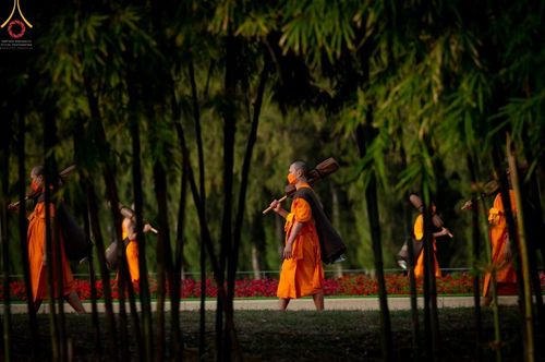 ภาพ No.41650:ประมวลภาพธรรมยาตรา ปีที่ 10  ประจำวันที่ 2 มกราคม พ.ศ. 2565 ชุดที่ 2