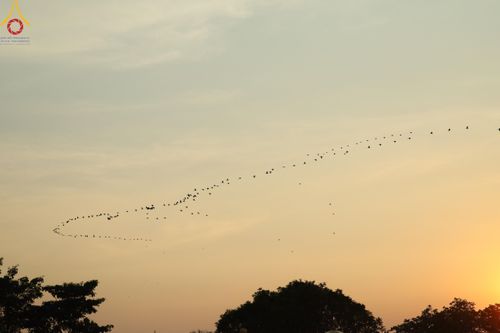 ภาพ No.110620:พิธีต้อนรับพระธรรมยาตรา ในโครงการธรรมยาตรากตัญญูบูชา มหาปูชนียาจารย์ พระมงคลเทพมุนี(สด จนฺทสโร) พระผู้ปราบมาร อนุสรณ์สถาน 7 แห่ง ปีที่ 12 วันที่ 11 มกราคม พ.ศ. 2567 ณ อนุสรณ์สถานลำดับที่ 3 สถานที่เกิดใหม่ในเพศสมณะ วัดสองพี่น้อง จ.สุพรรณบุรี