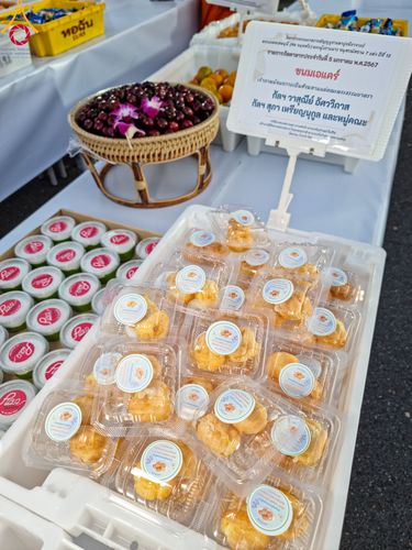 ภาพ No.106353:พิธีถวายภัตตาหารเป็นสังฆทาน แด่คณะพระธรรมยาตราฯ ในโครงการธรรมยาตรากตัญญูบูชา มหาปูชนียาจารย์ พระมงคลเทพมุนี(สด จนฺทสโร) พระผู้ปราบมาร อนุสรณ์สถาน 7 แห่ง ปีที่ 12 วันที่ 5 มกราคม พ.ศ. 2567 ณ อนุสรณ์สถานโลตัสแลนด์ จ.สุพรรณบุรี