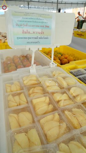 ภาพ No.71203:พิธีถวายภัตตาหารเป็นสังฆทาน แด่คณะพระธรรมยาตราฯ ในโครงการธรรมยาตราฯ ปีที่ 11 ณ อนุสรณ์สถานคลองบางนางแท่น อ.สามพราน จ.นครปฐม วันที่ 14 มกราคม พ.ศ. 2566