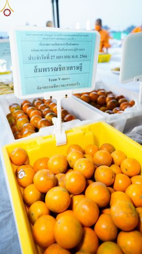 ภาพ No.74554:พิธีถวายภัตตาหารเป็นสังฆทาน แด่คณะพระธรรมยาตราฯ ในโครงการธรรมยาตรากตัญญูบูชา มหาปูชนียาจารย์ พระมงคลเทพมุนี(สด จนฺทสโร) พระผู้ปราบมาร อนุสรณ์สถาน 7 แห่ง ปีที่ 11 วันที่ 27 มกราคม พ.ศ. 2566