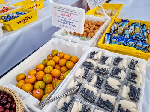 ภาพ No.106355:พิธีถวายภัตตาหารเป็นสังฆทาน แด่คณะพระธรรมยาตราฯ ในโครงการธรรมยาตรากตัญญูบูชา มหาปูชนียาจารย์ พระมงคลเทพมุนี(สด จนฺทสโร) พระผู้ปราบมาร อนุสรณ์สถาน 7 แห่ง ปีที่ 12 วันที่ 5 มกราคม พ.ศ. 2567 ณ อนุสรณ์สถานโลตัสแลนด์ จ.สุพรรณบุรี