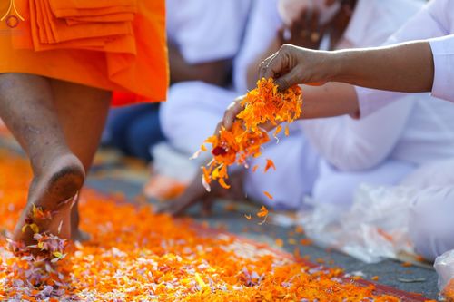 ภาพ No.70717:พิธีต้อนรับพระธรรมยาตรา ในโครงการธรรมยาตรากตัญญูบูชา มหาปูชนียาจารย์ พระมงคลเทพมุนี(สด จนฺทสโร) พระผู้ปราบมาร อนุสรณ์สถาน 7 แห่ง ปีที่ 11 วันที่ 14 มกราคม พ.ศ. 2566 ณ อนุสรณ์สถานลำดับที่ 3 สถานที่เกิดในเพศสมณะ วัดสองพี่น้อง อ.สองพี่น้อง จ.สุพรรณบุรี