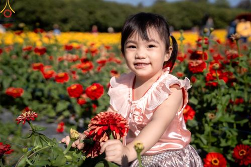 ภาพ No.188273:บรรยากาศ ทุ่งสวรรค์หรรษาพนาวัฒน์ ณ สวนพนาวัฒน์ อ.ฮอด จ.เชียงใหม่ เปิดให้เข้าชมฟรี ระหว่างวันที่ 28 ธันวาคม พ.ศ. 2567 ถึง วันที่ 3 มกราคม พ.ศ. 2568 เวลา 08.00-17.00 น.