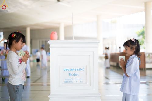 ภาพ No.104475:พิธีบุพเปตพลี ครั้งที่ 145 อุทิศบุญแด่หมู่ญาติที่ล่วงลับไปแล้ว และสืบทอดอายุพระพุทธศาสนา วันพุธที่ 27 ธันวาคม พ.ศ. 2566 (วันพระขึ้น 15 ค่ำ เดือน 12 ) ณ หอฉันคุณยายอาจารย์ฯ วัดพระธรรมกาย