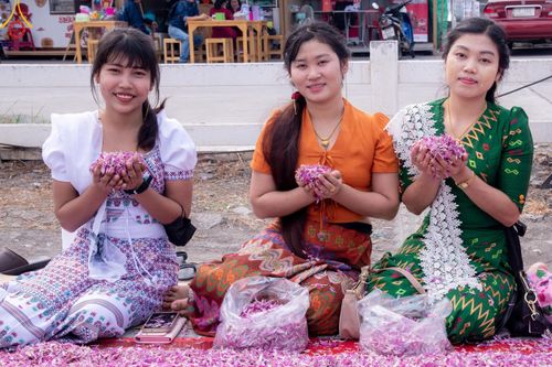ภาพ No.119973:พิธีต้อนรับพระธรรมยาตรา ในโครงการธรรมยาตรา กตัญญูบูชา มหาปูชนียาจารย์ พระมงคลเทพมุนี(สด จนฺทสโร) พระผู้ปราบมาร อนุสรณ์สถาน 7 แห่ง ปีที่ 12 วันที่ 28 มกราคม พ.ศ. 2567 ณ วัดพระธรรมกาย จ.ปทุมธานี