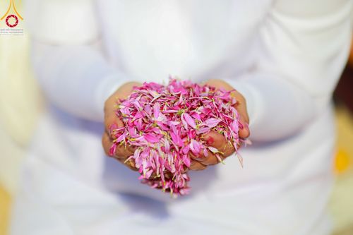 ภาพ No.107817:พิธีต้อนรับพระธรรมยาตรา ในโครงการธรรมยาตรากตัญญูบูชา มหาปูชนียาจารย์ พระมงคลเทพมุนี(สด จนฺทสโร) พระผู้ปราบมาร อนุสรณ์สถาน 7 แห่ง ปีที่ 12 วันที่ 7 มกราคม พ.ศ. 2567 ณ อนุสรณ์สถานคลองบางนางแท่น  อ.สามพราน จ.นครปฐม