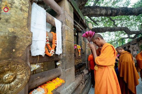 ภาพ No.176071:พิธีทอดผ้าป่าสมทบกฐิน ณ วัดพุทธคยา บานา วิหาร เมืองคยา รัฐพิหาร ประเทศอินเดีย โดยมูลนิธิธรรมกาย ในนามหลวงพ่อธัมมชโย  วันที่ 12 พฤศจิกายน พ.ศ. 2567