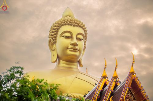 ภาพ No.118947:คณะพุทธบุตรธรรมยาตราร่วมปฏิบัติธรรม และถ่ายภาพหมู่ประวัติศาสตร์ ในโครงการธรรมยาตราฯ ปีที่ 12  วันที่ 25 มกราคม พ.ศ. 2567  ณ อาคารธรรมยาตรา กตัญญูบูชามหาปูชนียาจารย์  ตรงข้ามวัดปากน้ำภาษีเจริญ จ.กรุงเทพมหานคร