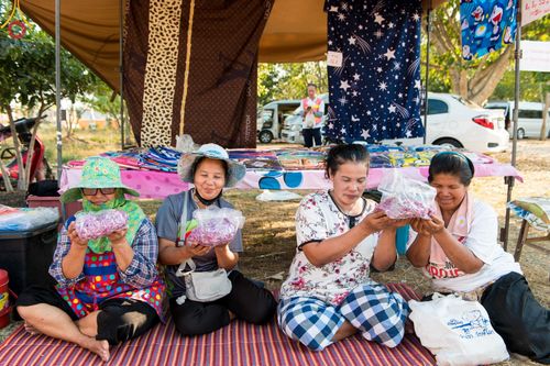 ภาพ No.116578:พิธีต้อนรับพระธรรมยาตรา ปีที่ 12 ณ อนุสรณ์สถานบางปลา จ.นครปฐม วันที่ 21 มกราคม พ.ศ. 2567