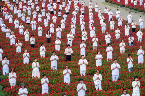 ภาพ No.185422:กิจกรรมเก็บดอกแพงรวย วันอาทิตย์ที่ 22 ธันวาคม พ.ศ. 2567 ณ ทุ่งสวรรค์ ตะวันฉาย วัดพระธรรมกาย