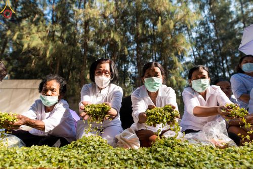 ภาพ No.110529:พิธีต้อนรับพระธรรมยาตรา ในโครงการธรรมยาตรากตัญญูบูชา มหาปูชนียาจารย์ พระมงคลเทพมุนี(สด จนฺทสโร) พระผู้ปราบมาร อนุสรณ์สถาน 7 แห่ง ปีที่ 12 วันที่ 11 มกราคม พ.ศ. 2567 ณ อนุสรณ์สถานลำดับที่ 3 สถานที่เกิดใหม่ในเพศสมณะ วัดสองพี่น้อง จ.สุพรรณบุรี