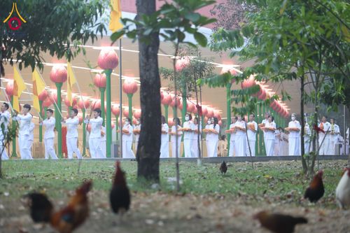 ภาพ No.298083:วันเสาร์ที่ 17 มกราคม พ.ศ. 2569 พิธีบรรพชาอุปสมบท โครงการอุปสมบทหมู่ บูชาธรรมครบ 117 ปี คุณยายอาจารย์มหารัตนอุบาสิกาจันทร์ ขนนกยูง  ณ อุโบสถพระไตรปิฎก วัดพระธรรมกาย