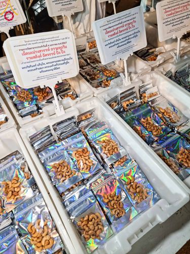 ภาพ No.106076:พิธีถวายภัตตาหารเป็นสังฆทาน แด่คณะพระธรรมยาตราฯ ในโครงการธรรมยาตรากตัญญูบูชา มหาปูชนียาจารย์ พระมงคลเทพมุนี(สด จนฺทสโร) พระผู้ปราบมาร อนุสรณ์สถาน 7 แห่ง ปีที่ 12 วันที่ 3 มกราคม พ.ศ. 2567 ณ อนุสรณ์สถานโลตัสแลนด์ จ.สุพรรณบุรี