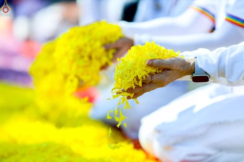 ภาพ No.279538:วันที่ 2 มกราคม พ.ศ.2569 พิธีต้อนรับพระธรรมยาตรา ครั้งที่ 1 ณ วัดพระธรรมกาย (วิหารหลวงปู่ - พระมหาธรรมกายเจดีย์)