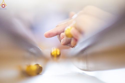 ภาพ No.82404:พิธีหล่อพระประธานเพื่อประดิษฐาน ณ มหาวิหารคด วันอาทิตย์ที่ 11 มิถุนายน พ.ศ. 2566 ณ สภาธรรมกายสากล วัดพระธรรมกาย