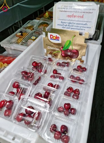 ภาพ No.115701:พิธีถวายภัตตาหารเป็นสังฆทาน แด่คณะพระธรรมยาตรา ปีที่ 12 วันที่ 20 มกราคม พ.ศ. 2567 ณ วัดโบสถ์(บน) บางคูเวียง จ.นนทบุรี