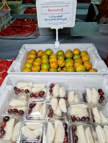 ภาพ No.114545:พิธีถวายภัตตาหารเป็นสังฆทาน แด่คณะพระธรรมยาตรา ปีที่ 12 วันที่ 18 มกราคม พ.ศ. 2567 ณ วัดโบสถ์(บน) บางคูเวียง จ.นนทบุรี