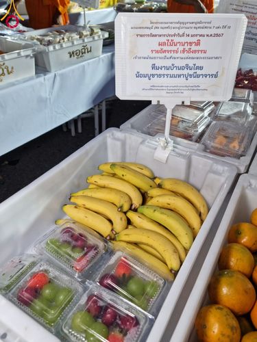 ภาพ No.111914:พิธีถวายภัตตาหารเป็นสังฆทาน แด่คณะพระธรรมยาตราฯ ในโครงการธรรมยาตรา กตัญญูบูชา มหาปูชนียาจารย์ พระมงคลเทพมุนี(สด จนฺทสโร) พระผู้ปราบมาร อนุสรณ์สถาน 7 แห่ง ปีที่ 12 วันที่ 14 มกราคม พ.ศ. 2567 ณ อนุสรณ์สถานมหาวิหารพระมงคลเทพมุนี  (โลตัสแลนด์) อ.สองพี่น้อง จ