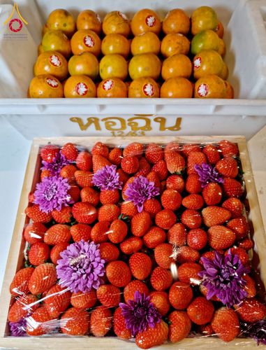 ภาพ No.120673:พิธีถวายภัตตาหารเป็นสังฆทาน แด่คณะพระธรรมยาตรา ปีที่ 12 วันที่ 29 มกราคม พ.ศ. 2567 ณ สภาธรรมกายสากล วัดพระธรรมกาย