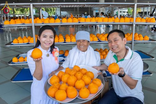 ภาพ No.308789:วันที่ 3 กุมภาพันธ์ พ.ศ. 2569 วันมหาปูชนียาจารย์ ณ หอฉันคุณยายอาจารย์ วัดพระธรรมกาย จ.ปทุมธานี