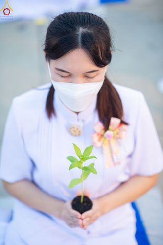 ภาพ No.90171:พิธีปลูกทรัพย์บานชื่น  เนื่องใน 139 ปี วันคล้ายวันเกิดด้วยรูปกายเนื้อ พระมงคลเทพมุนี (สด จนฺทสโร) พระผู้ปราบมาร วันอังคารที่ 10 ตุลาคม พ.ศ. 2566 ณ วัดพระธรรมกาย จ.ปทุมธานี