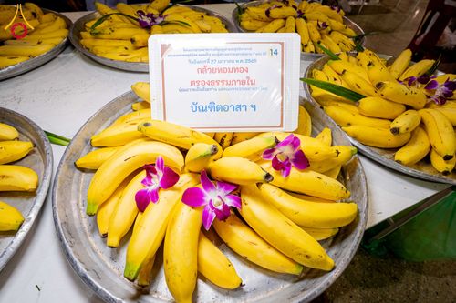 ภาพ No.303589:วันที่ 27 มกราคม พ.ศ. 2569 พิธีถวายภัตตาหารเป็นสังฆทาน แด่พระธรรมยาตรา ณ วัดพระธรรมกาย  จังหวัดปทุมธานี ในโครงการธรรมยาตรา กตัญญูบูชา มหาปูชนียาจารย์ พระมงคลเทพมุนี(สด จนฺทสโร) พระผู้ปราบมาร อนุสรณ์สถาน 7 แห่ง ปีที่ 14