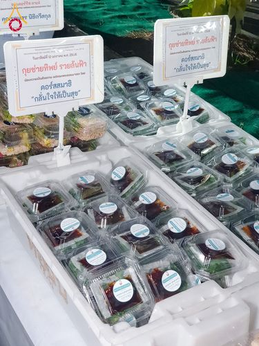 ภาพ No.193809:สาธุชนถวายภัตตาหารเป็นสังฆทาน แด่พระธรรมยาตรา ณ อนุสรณ์สถานมหาวิหารพระมงคลเทพมุนี (โลตัสแลนด์) อ.สองพี่น้อง จ.สุพรรณบุรี ในโครงการธรรมยาตรา กตัญญูบูชา มหาปูชนียาจารย์ พระมงคลเทพมุนี(สด จนฺทสโร) พระผู้ปราบมาร ปีที่ 13 วันที่ 12 มกราคม พ.ศ.2568