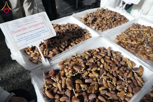 ภาพ No.197007:พิธีถวายภัตตาหารเป็นสังฆทาน แด่พระธรรมยาตรา ณ วัดโบสถ์(บน) ตำบลบางคูเวียง อำเภอบางกรวย จังหวัดนนทบุรี ในโครงการธรรมยาตรา กตัญญูบูชา มหาปูชนียาจารย์ พระมงคลเทพมุนี(สด จนฺทสโร) พระผู้ปราบมาร อนุสรณ์สถาน 7 แห่ง ปีที่ 13 วันที่ 18 มกราคม พ.ศ. 2568