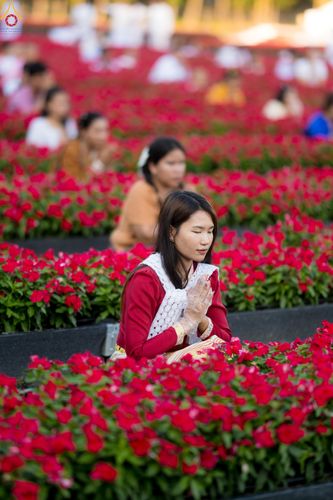 ภาพ No.280912:วันที่ 28 ธันวาคม พ.ศ.2568 กิจกรรมเก็บดอกแพงรวย ณ ทุ่งสวรรค์ตะวันฉาย วัดพระธรรมกาย