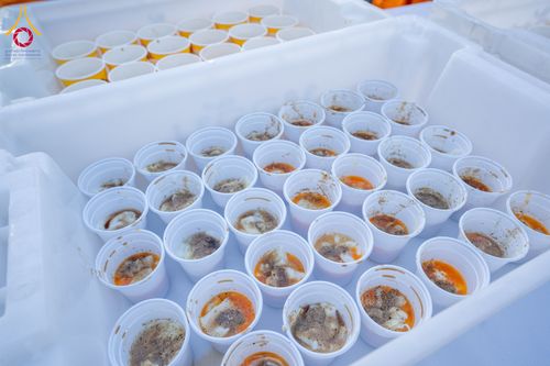 ภาพ No.288316:วันที่ 5 มกราคม พ.ศ. 2569 พิธีถวายภัตตาหารเป็นสังฆทาน แด่พระธรรมยาตรา ในโครงการธรรมยาตรา กตัญญูบูชา มหาปูชนียาจารย์ พระมงคลเทพมุนี(สด จนฺทสโร) พระผู้ปราบมาร อนุสรณ์สถาน 7 แห่ง ปีที่ 14 ณ อนุสรณ์สถานมหาวิหารพระมงคลเทพมุนี (โลตัสแลนด์) อ.สองพี่น้อง จ.สุพรร